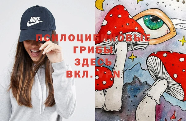 Альфа ПВП Дмитриев