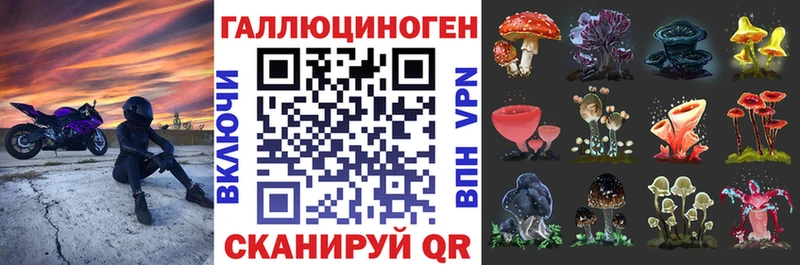 Псилоцибиновые грибы ЛСД  Лахденпохья 